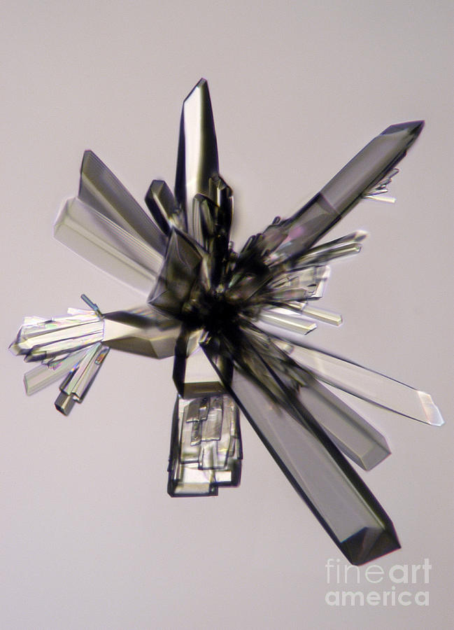 Ascorbic Acid Photograph - Ascorbic Acid Crystal by Raul Gonzalez Perez