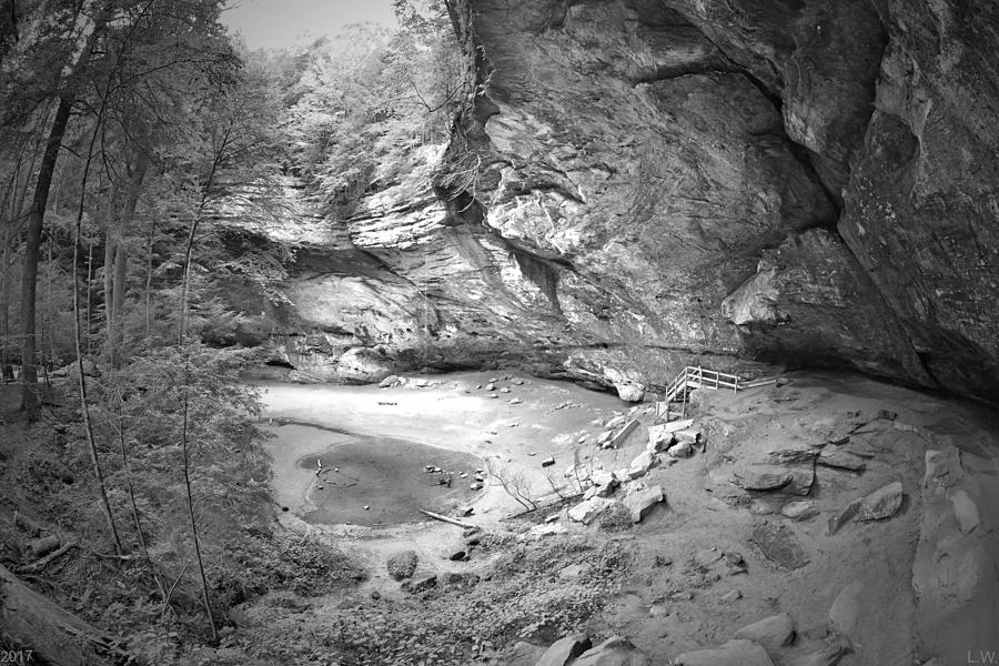 Tree Photograph - Ash Cave At Hocking Hills Ohio Black And White by Lisa Wooten