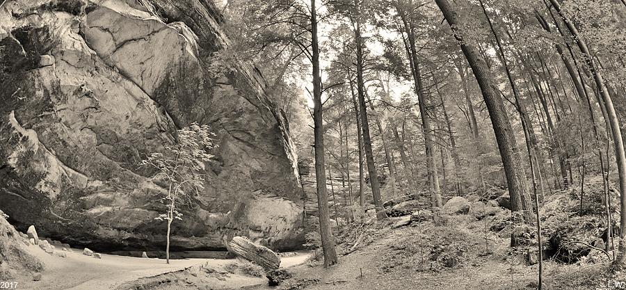 Tree Photograph - Ash Cave Panorama At Hocking Hills Ohio Black And White by Lisa Wooten