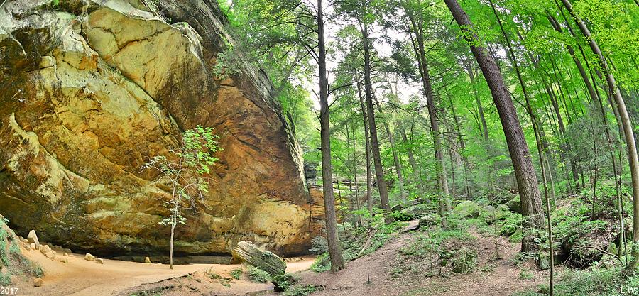 Ash Cave Panorama At Hocking Hills Ohio Photograph by Lisa Wooten