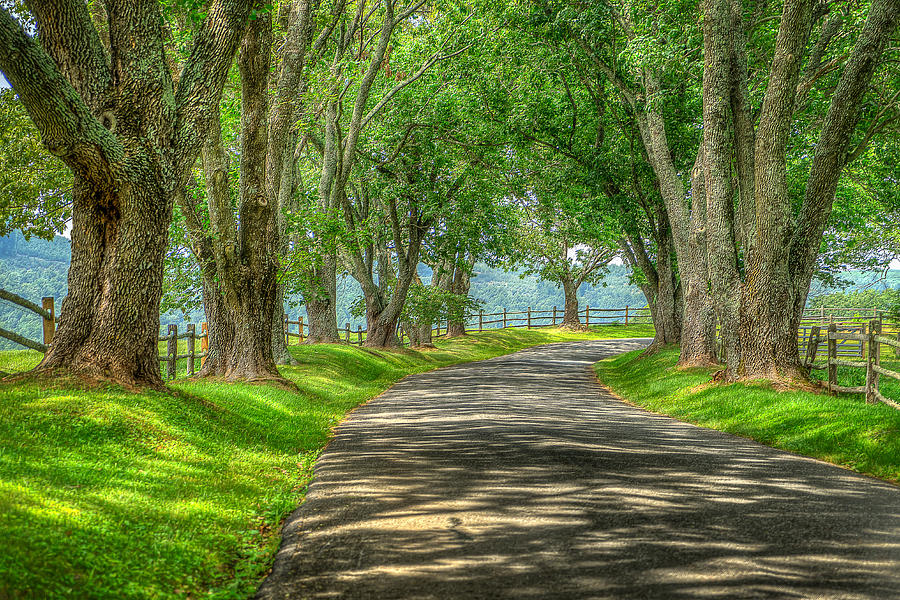 Ash-Lawn Highland I Photograph by Harry Meares Jr | Fine Art America