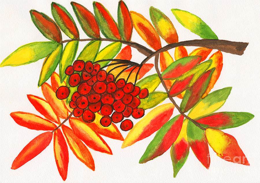 Ashberry, painting Painting by Irina Afonskaya