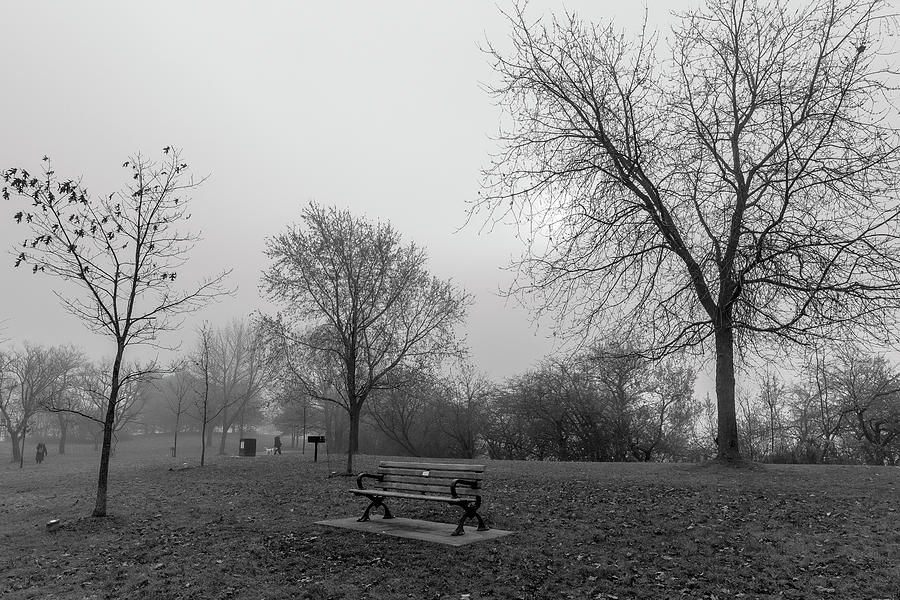 Ashbridge's Bay Park in Fog by Rick Shea Ashbridge's Bay Park in Fog by Rick Shea