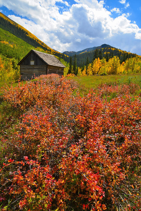 Ashcroft Cabin Photograph by Ray Mathis