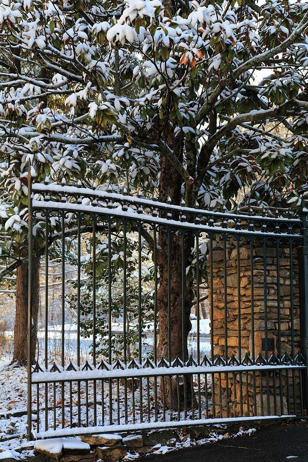 Asheville Botanical Gardens Main Gate  Photograph by Carol Montoya