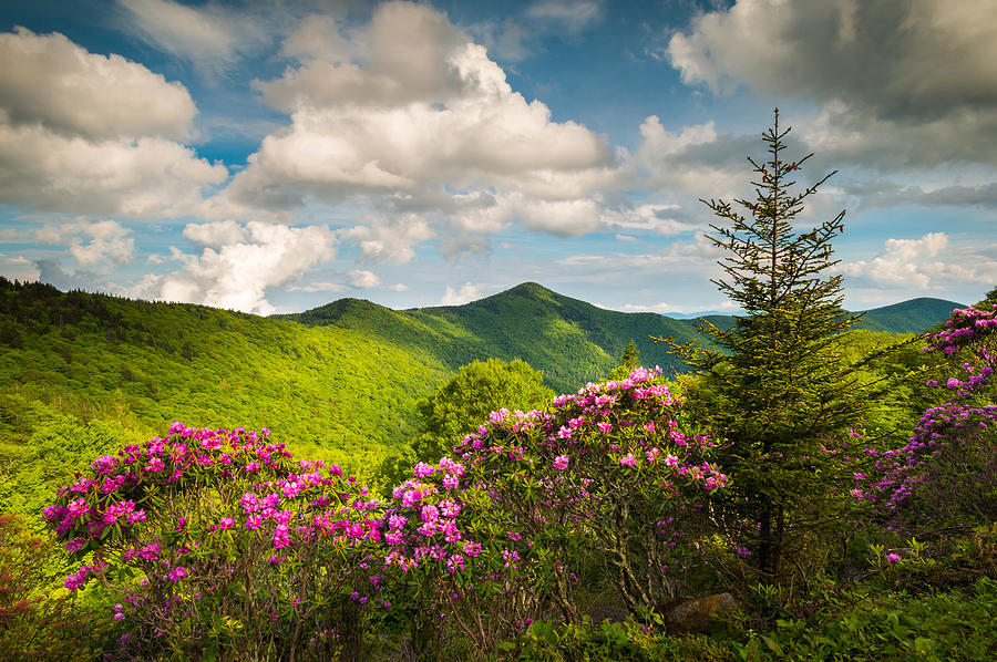 Mountain Photograph - Asheville NC Blue Ridge Parkway Pinnacle by Dave Allen