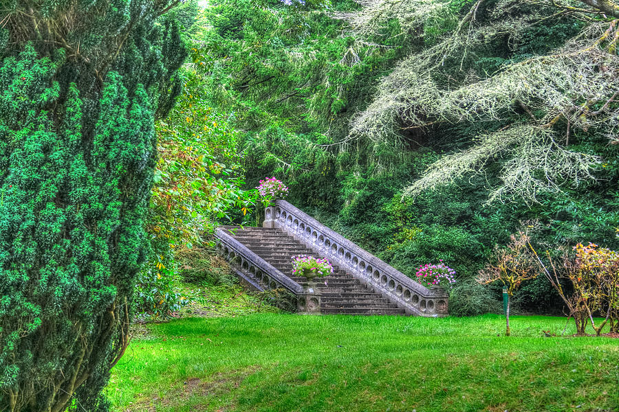 Ashford Castle Garden Photograph by John A Megaw