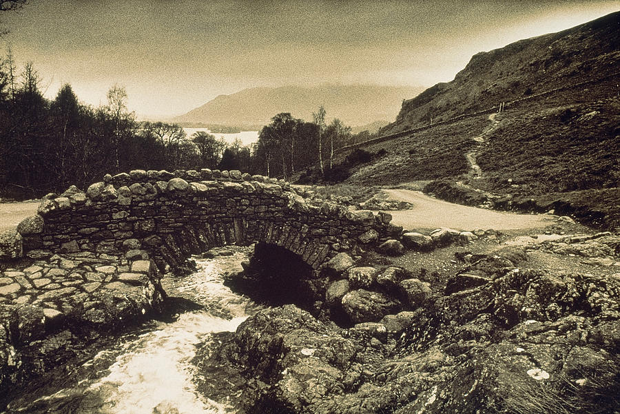 Tree Photograph - Ashness Bridge Cumbria England by Panoramic Images