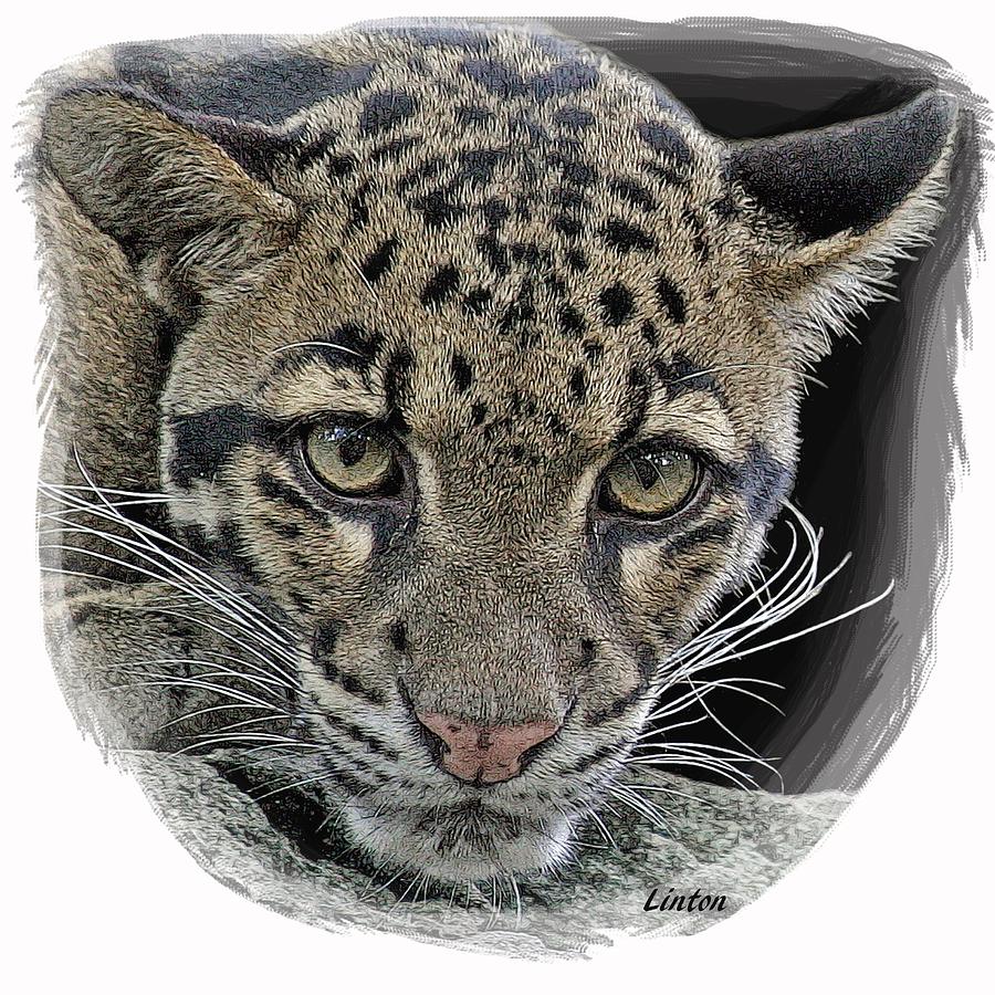 Asian Cloud Leopard Digital Art by Larry Linton