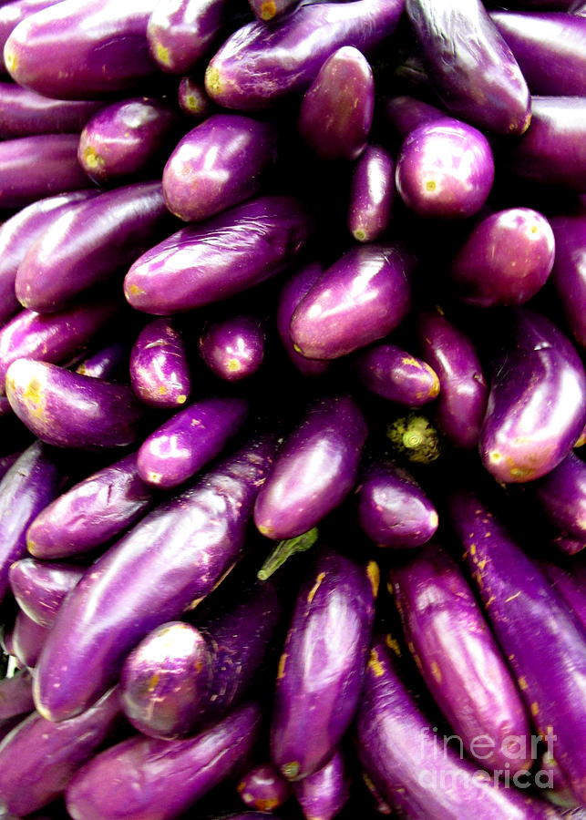 Asian Eggplant Photograph by Randall Weidner