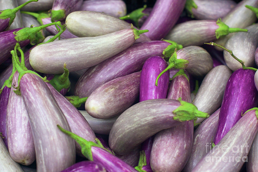 Asian Eggplants Photograph by Bruce Block