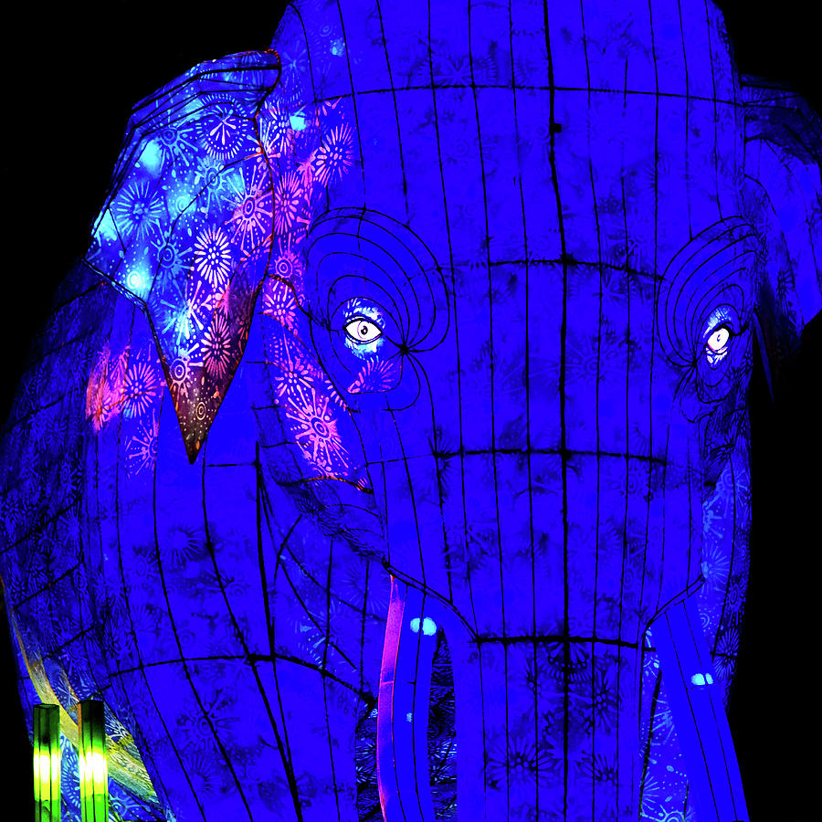 Asian Elephant Light Scultpure Photograph by Miroslava Jurcik