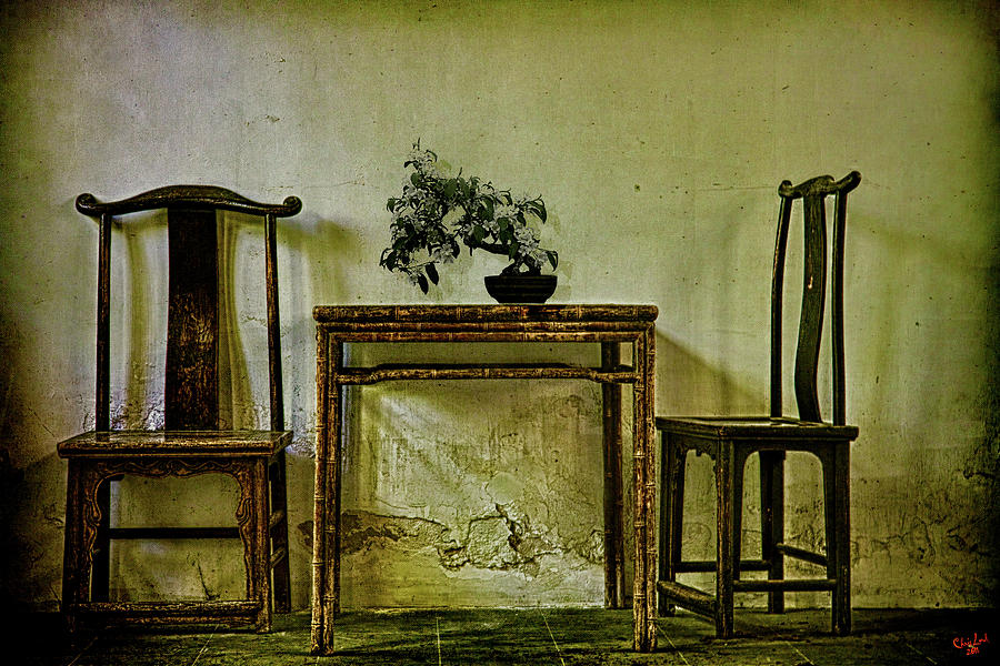 Asian Furniture and Bonsai Photograph by Chris Lord