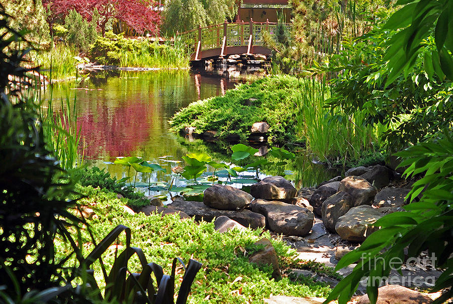 Asian Garden 3 Photograph by Lydia Holly - Pixels