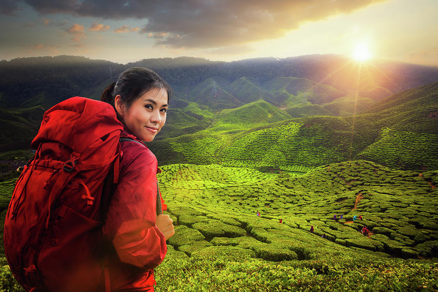 Asian lady backpack and travel the green tea plant in Cameron hi Photograph by Anek Suwannaphoom
