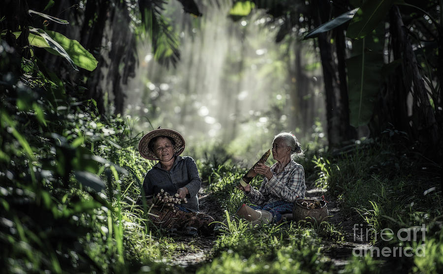 Thai Photograph - Asian old woman working in the rain-forest by Sasin Tipchai Thai Photograph - Asian old woman working in the rain-forest by Sasin Tipchai