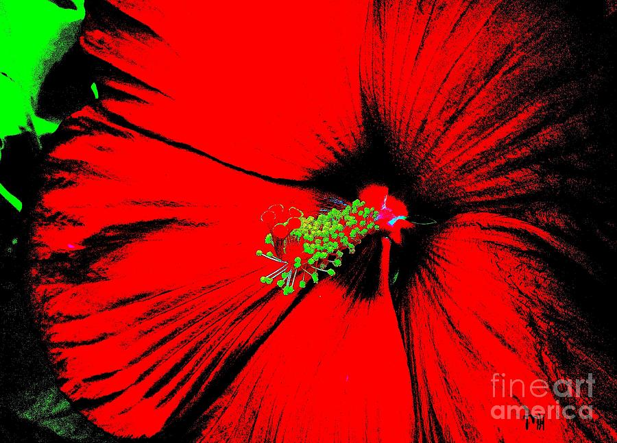 Asian Red Macro Hibiscus Digital Art by Marsha Heiken