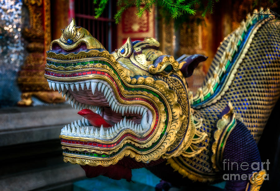 Buddha Photograph - Asian Temple Dragon by Adrian Evans