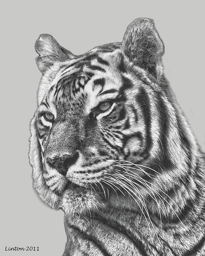 Asian Tiger 2 Digital Art by Larry Linton