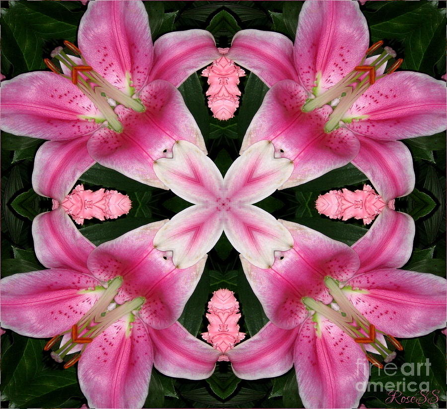 Asiatic Lily and Carnation Warp Abstract Mixed Media by Rose Santuci-Sofranko