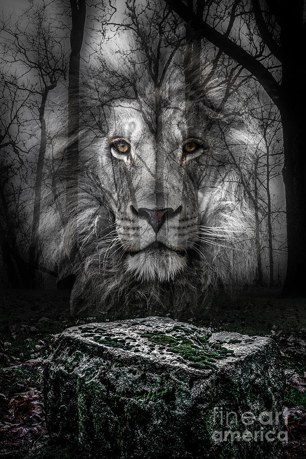 Aslan And The Stone Table Photograph by Michael Arend