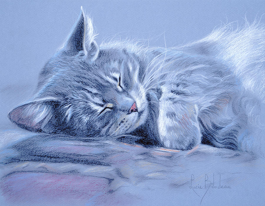 Asleep Drawing by Lucie Bilodeau