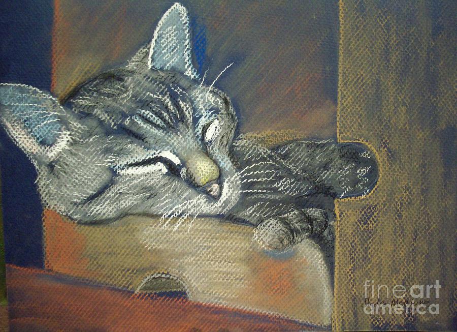 Cat Pastel - ASLEEP....in a box by Sandra McClure