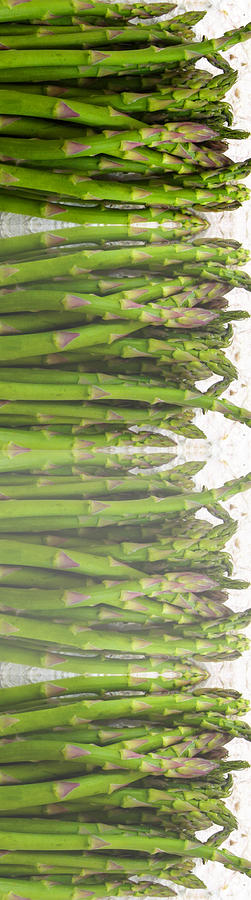 Asparagus Collage 2 Photograph