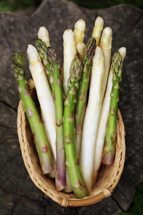 Asparagus Photograph
