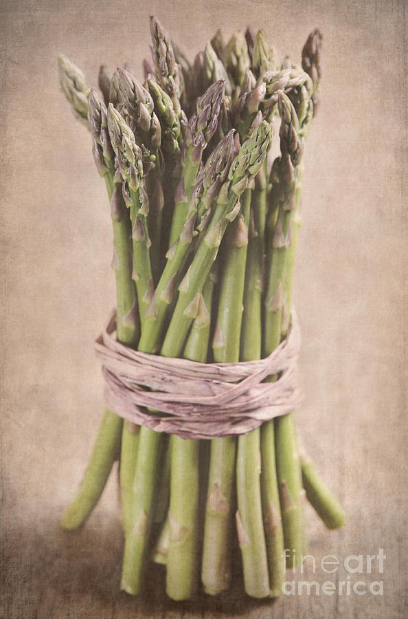 Asparagus Spears Photograph by Neil Overy