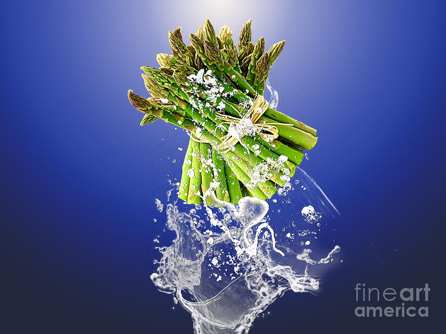 Asparagus Splash Mixed Media by Marvin Blaine