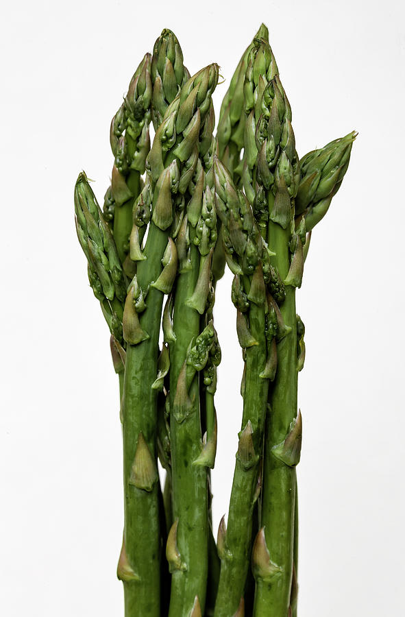 Asparagus Still Life Photograph by Robert Ullmann