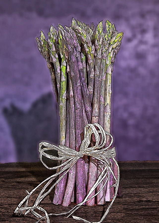 Asparagus Photograph by Terri Schaffer - Lifes Color