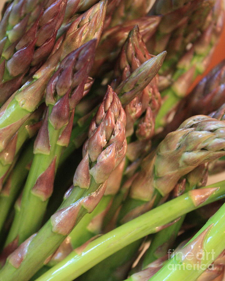 Asparagus Tips 2 Photograph by Carol Groenen