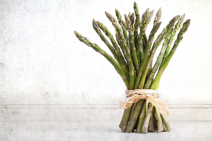 Asparagus vintage Photograph by Jane Rix