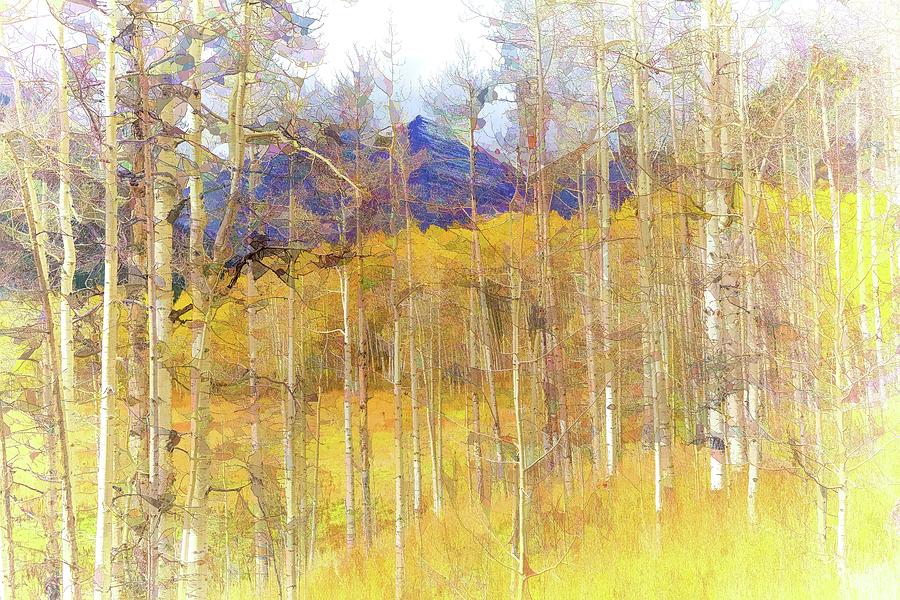 Aspen Ambience - Painting Photograph by Eric Glaser