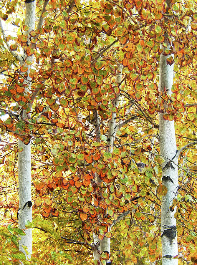 Aspen Autumn Glory Digital Art by Ann Johndro-Collins