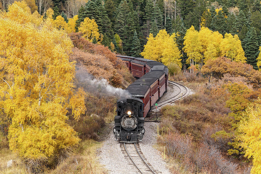 Aspen Curves On The Rails Photograph by Steven Bateson