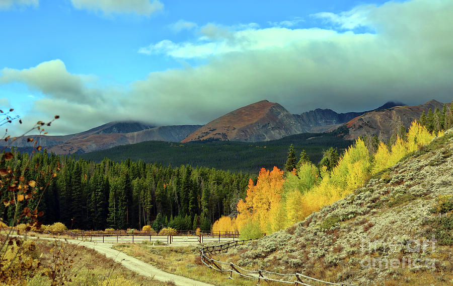 Aspen Fall Color 4594 Final Photograph By Jack Schultz Fine Art America   Aspen Fall Color 4594 Final Jack Schultz 