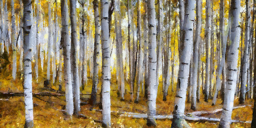 Aspen Forest Digital Art by Ronald Bolokofsky