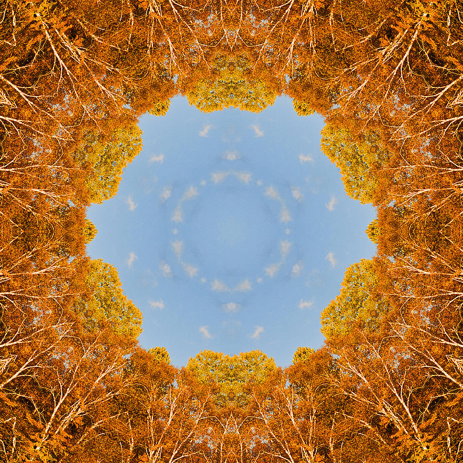 Aspen Kaleidoscope Photograph by Bill Barber