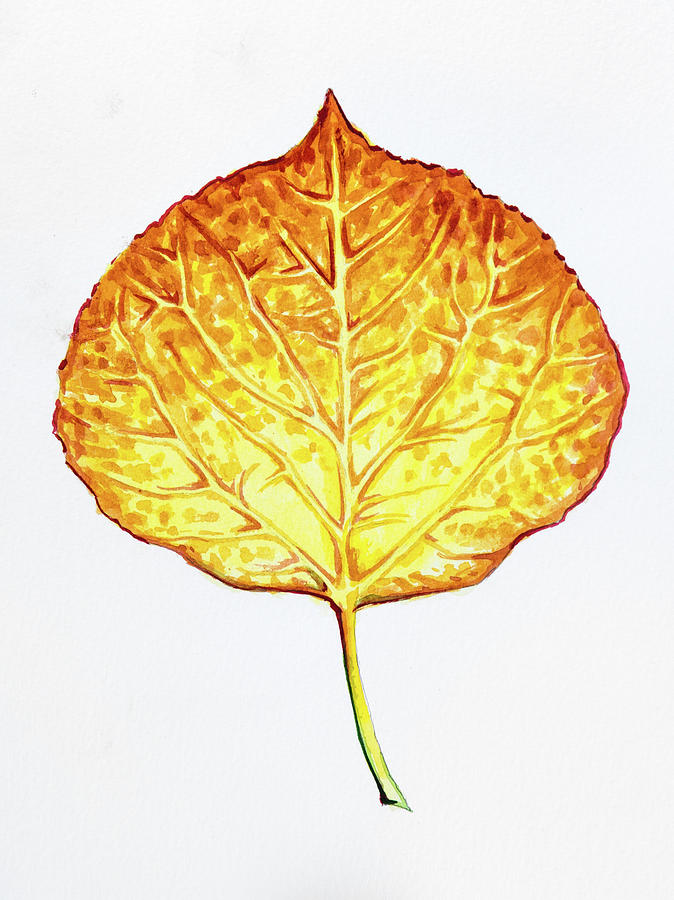 Aspen Leaf - Orange and Yellow Painting by Aaron Spong