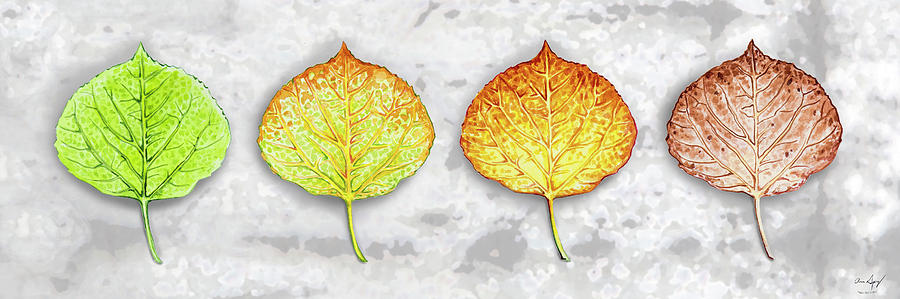 Aspen Leaf Progression - Bark Texture Bachground Painting by Aaron Spong
