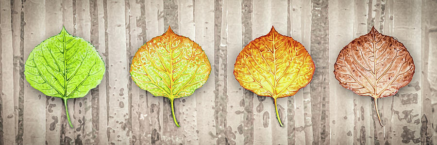 Aspen Leaf Progression - Forest Bachground Photograph by Aaron Spong