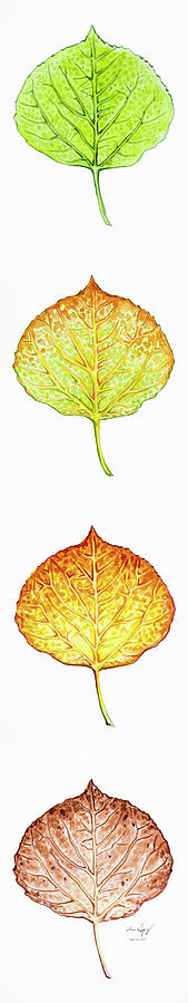 Aspen Leaf Progression - Vertical Format Painting by Aaron Spong