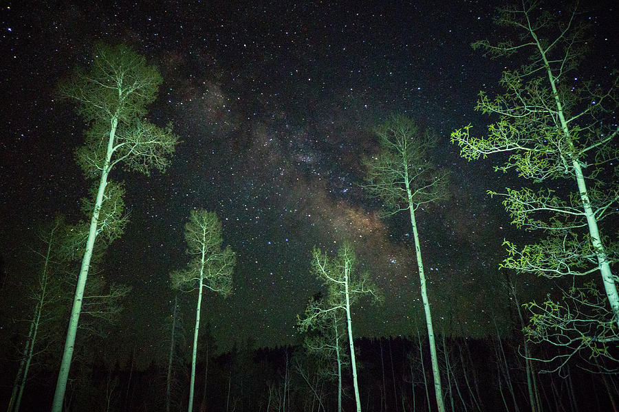 Aspen Milky Way Duck Creek Campground Utah Photograph by Lawrence S Richardson Jr