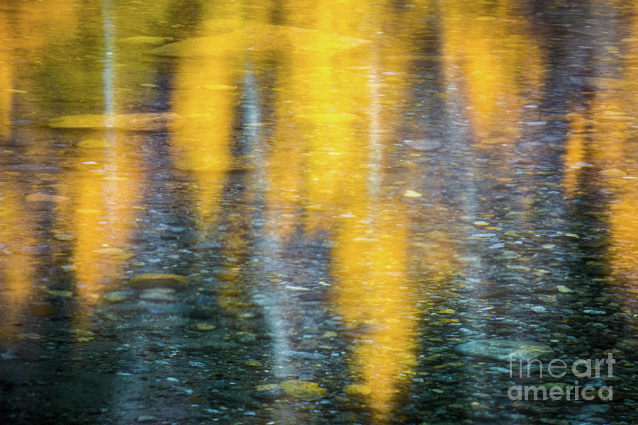 Aspen Reflections Photograph by Anthony Michael Bonafede