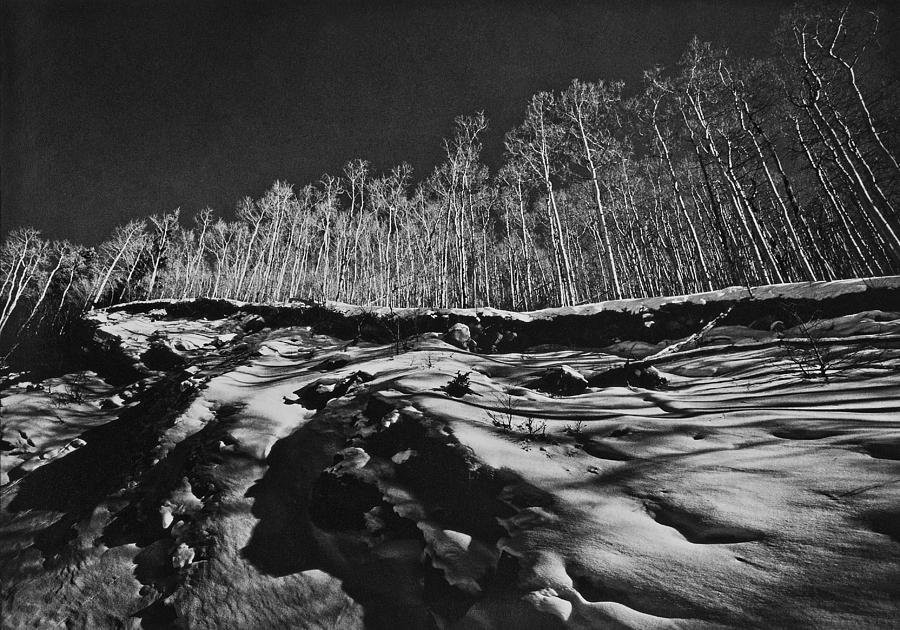 Aspen Ridgeline Photograph by John Gilroy