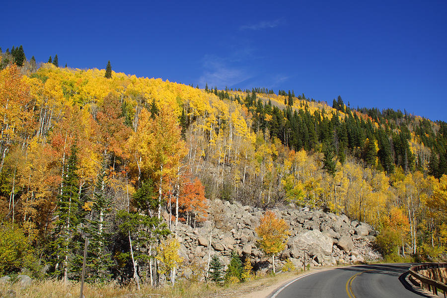 Aspen road 2 Photograph by Darrell Skorupski - Fine Art America