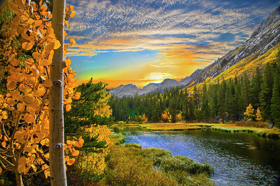 Aspen Sunset at Twin Lakes Photograph by Lynn Bauer